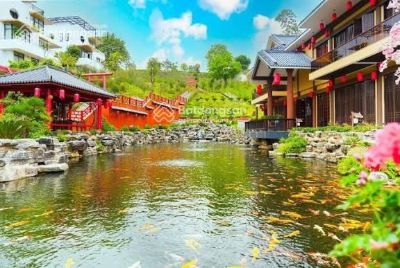 Bất động sản tại Hòa Bình - ảnh 1