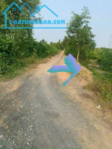 Bất động sản tại Long An - ảnh 1