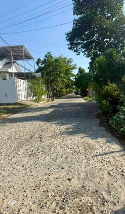 Bất động sản tại Ninh Thuận - ảnh 1