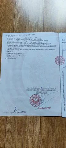 Bất động sản tại Đắk Lắk - ảnh 1