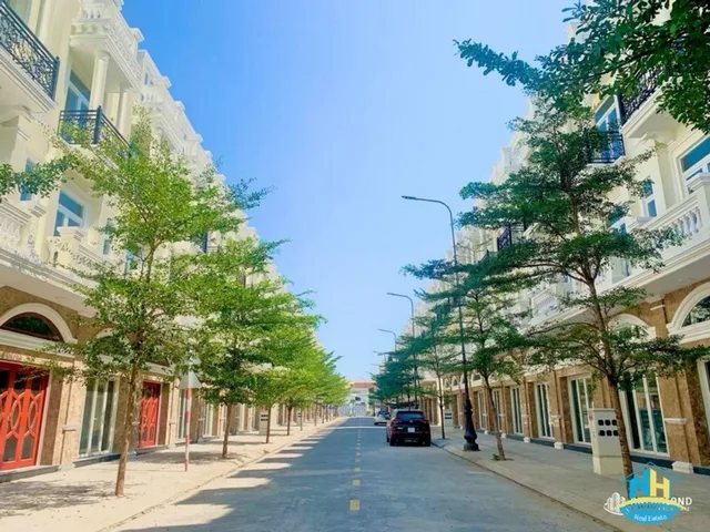 Bất động sản tại TP. Hồ Chí Minh - ảnh 1