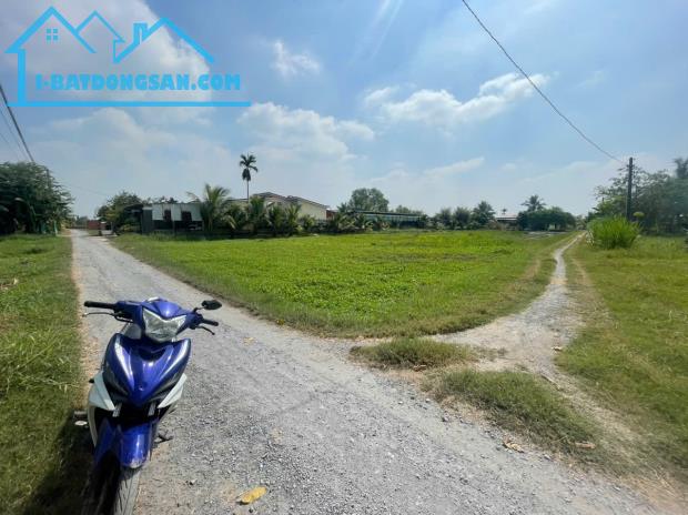 Bất động sản tại Long An - ảnh 1