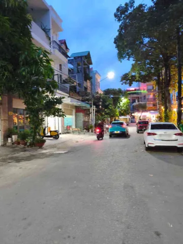 Bất động sản tại Bình Dương - ảnh 1