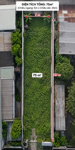 Bất động sản tại Lâm Đồng - ảnh 1