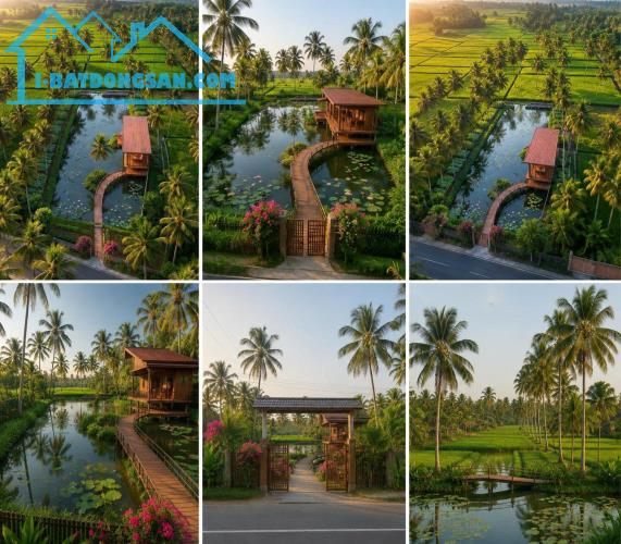 Bất động sản tại Đồng Tháp - ảnh 1