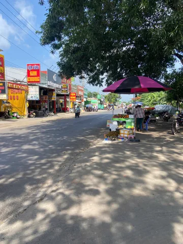 Bất động sản tại Bình Phước - ảnh 1