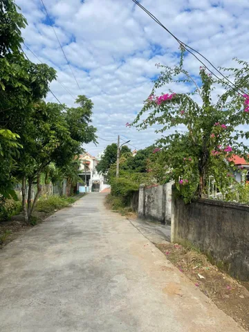 Bất động sản tại Hải Phòng - ảnh 1