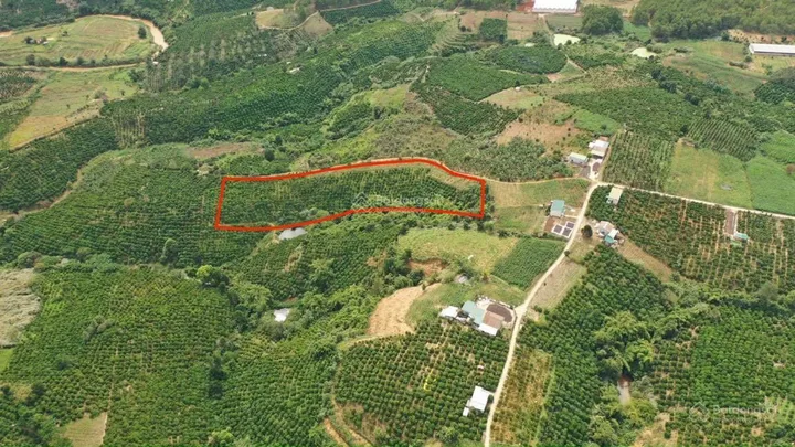 Bất động sản tại Lâm Đồng - ảnh 1