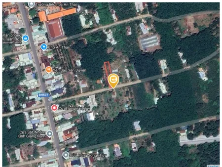 Bất động sản tại Bình Dương - ảnh 1