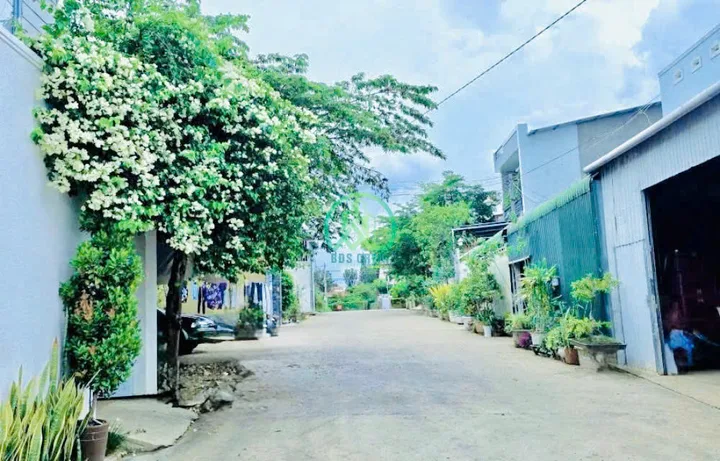 Bất động sản tại Lâm Đồng - ảnh 1