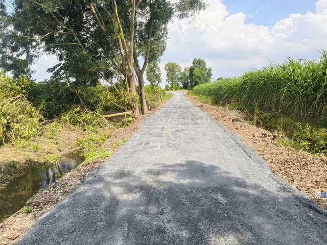 Bất động sản tại Long An - ảnh 1