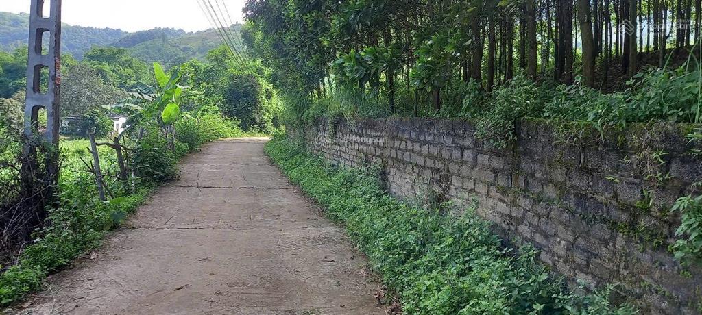 Bất động sản tại Hòa Bình - ảnh 1