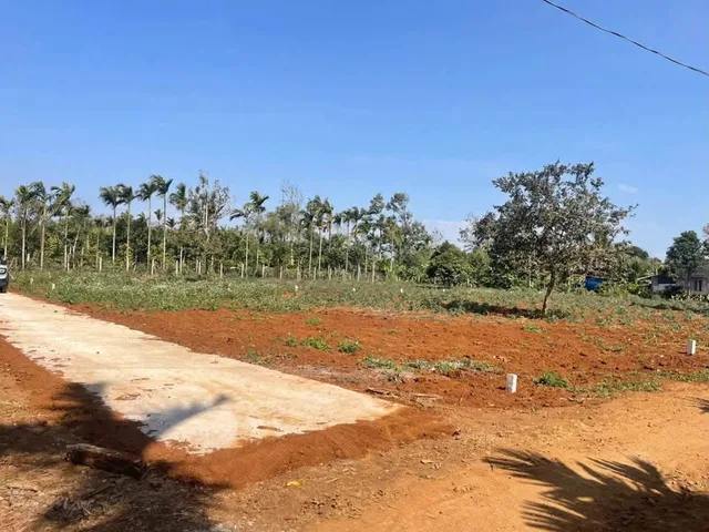 Bất động sản tại Đắk Lắk - ảnh 1