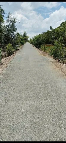 Bất động sản tại Đồng Tháp - ảnh 1