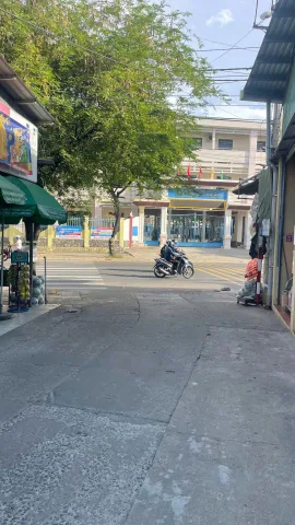 Bất động sản tại Đà Nẵng - ảnh 1