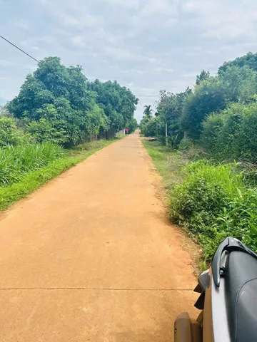 Bất động sản tại Đắk Lắk - ảnh 1