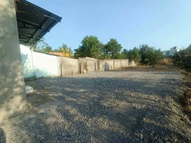 Bất động sản tại Long An - ảnh 1
