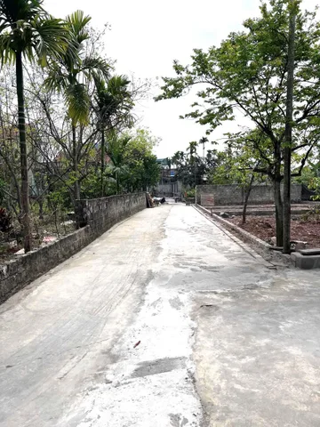 Bất động sản tại Hải Phòng - ảnh 1