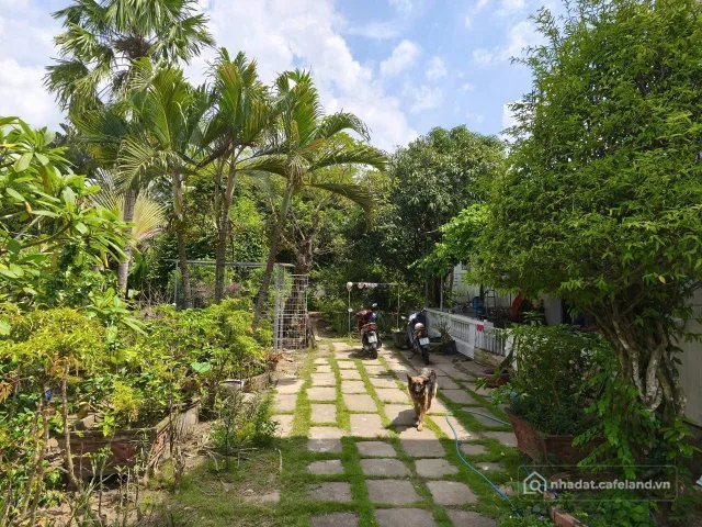 Bất động sản tại Tuyên Quang - ảnh 1