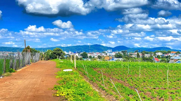 Bất động sản tại Lâm Đồng - ảnh 1