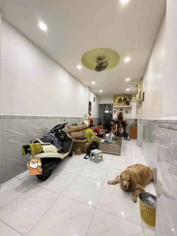 Bất động sản tại TP. Hồ Chí Minh - ảnh 1