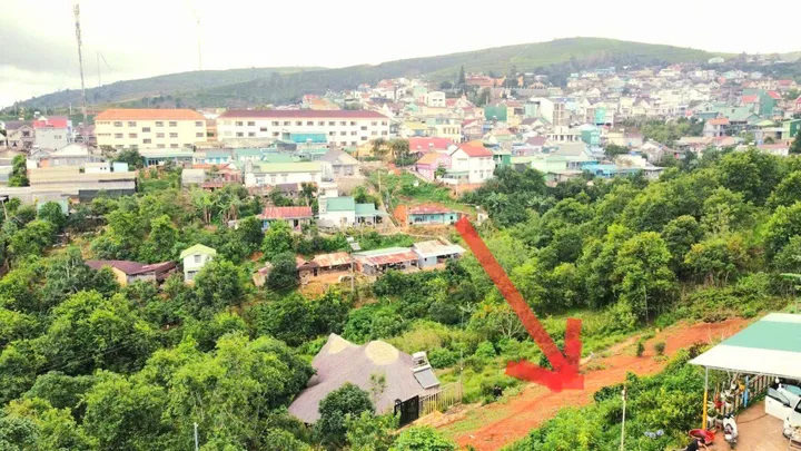 Bất động sản tại Lâm Đồng - ảnh 1