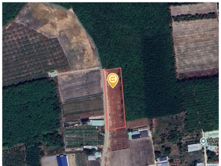 Bất động sản tại Bình Dương - ảnh 1
