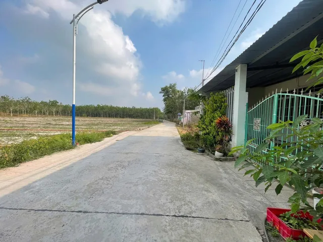 Bất động sản tại Bình Dương - ảnh 1