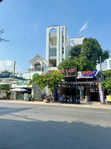 Bất động sản tại TP. Hồ Chí Minh - ảnh 1