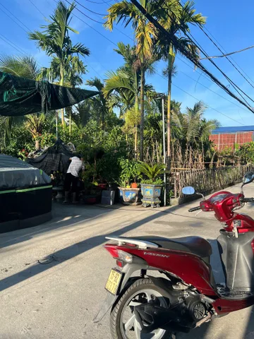 Bất động sản tại Hải Phòng - ảnh 1