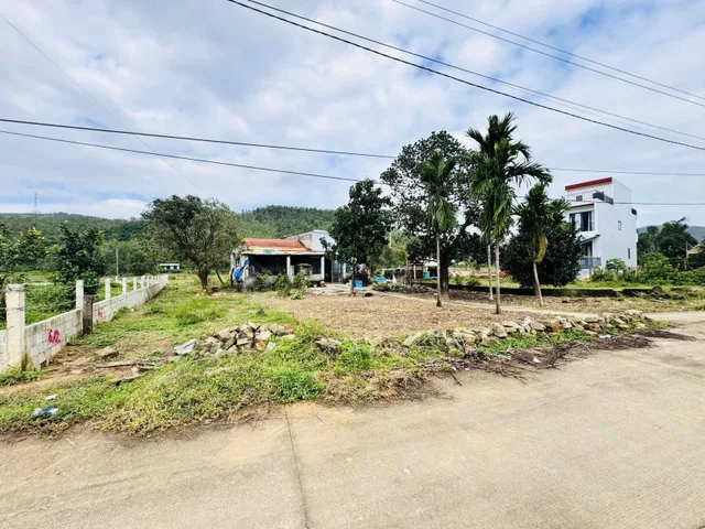 Bất động sản tại Đà Nẵng - ảnh 1