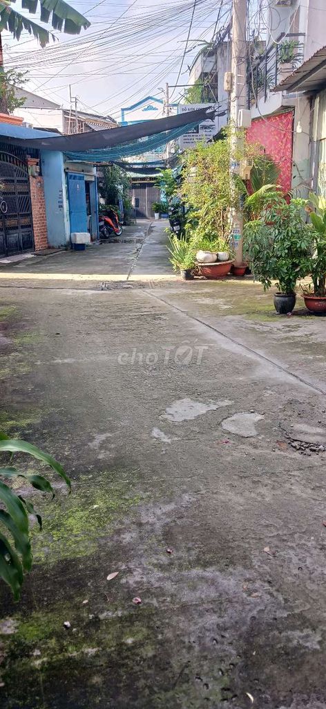 Nhà riêng tại 12, TP. Hồ Chí Minh - ảnh 5