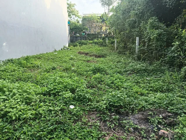 Bất động sản tại Đà Nẵng - ảnh 1