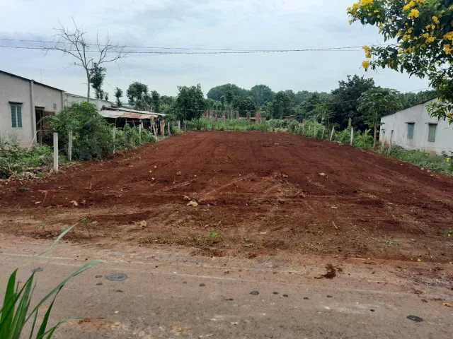 Bất động sản tại Bà Rịa - Vũng Tàu - ảnh 1
