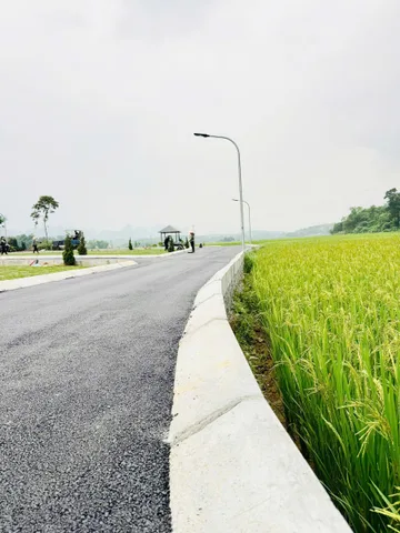 Bất động sản tại Phú Thọ - ảnh 1