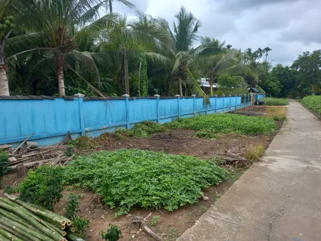 Bất động sản tại Cần Thơ - ảnh 1