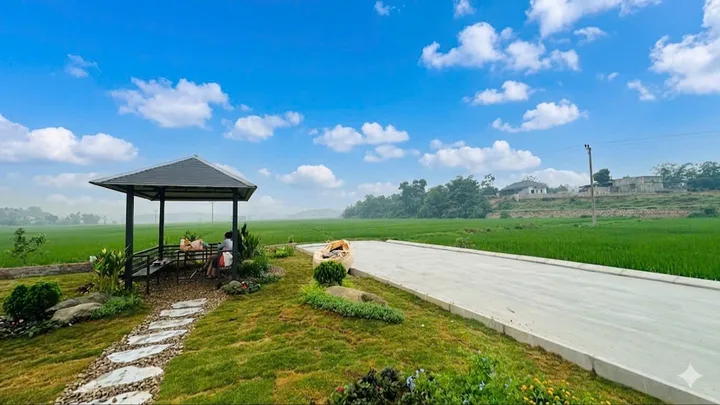 Bất động sản tại Phú Thọ - ảnh 1