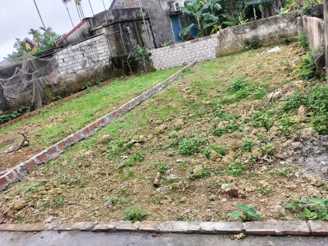 Bất động sản tại Hải Phòng - ảnh 1