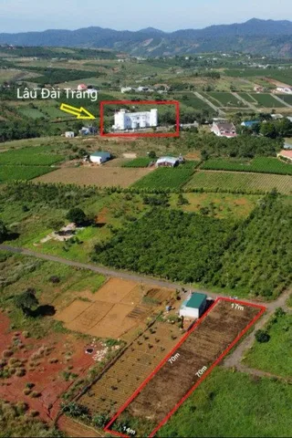 Bất động sản tại Lâm Đồng - ảnh 1