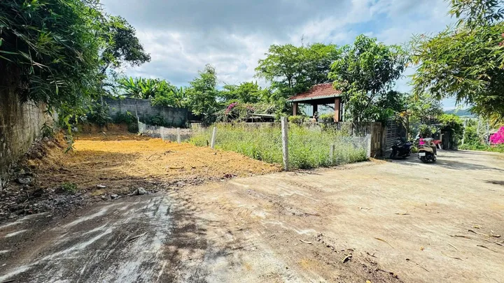 Bất động sản tại Đà Nẵng - ảnh 1