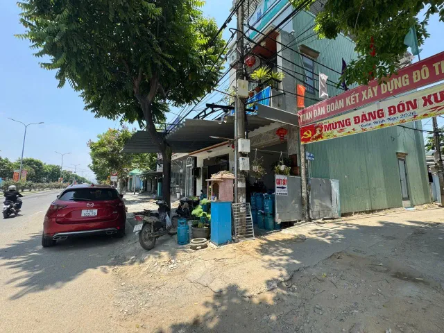 Bất động sản tại Đà Nẵng - ảnh 1