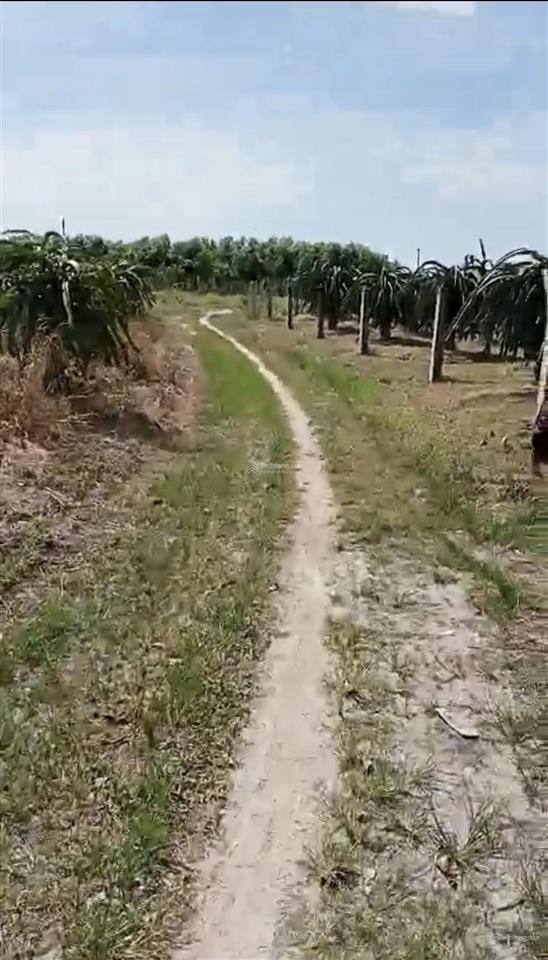 Bất động sản tại Bình Thuận - ảnh 1