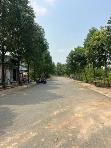 Bất động sản tại Bình Dương - ảnh 1