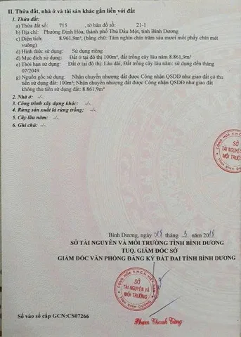 Bất động sản tại Bình Dương - ảnh 1