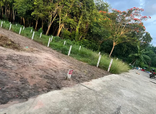Bất động sản tại Bình Dương - ảnh 1