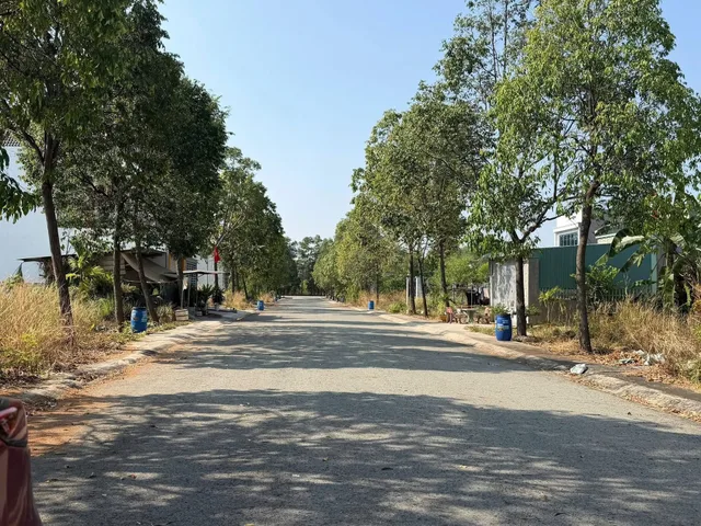 Bất động sản tại Bình Dương - ảnh 1
