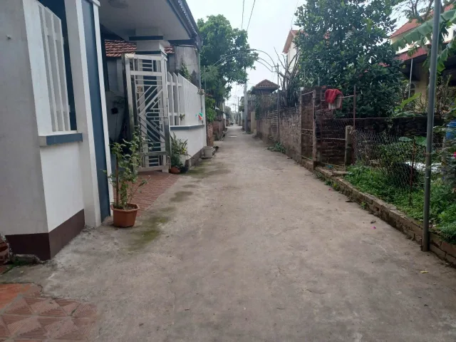 Bất động sản tại Hưng Yên - ảnh 1