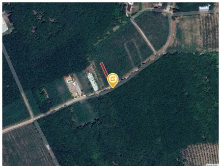 Bất động sản tại Bình Dương - ảnh 1