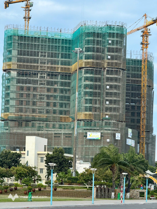 Bất động sản tại Ninh Thuận - ảnh 1