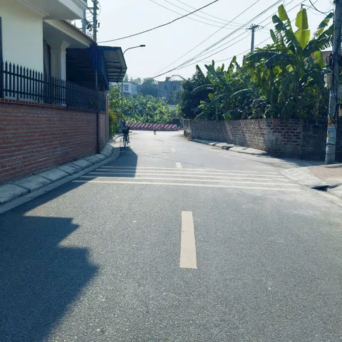 Bất động sản tại Hải Phòng - ảnh 1
